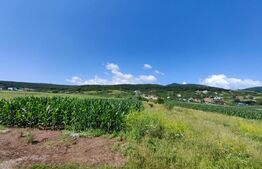 Teren intravilan, 4670 mp, zona Micești partea stanga