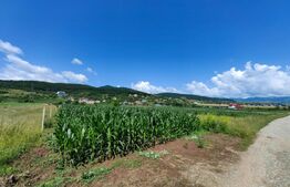 Teren intravilan, 4670 mp, zona Micești partea stanga