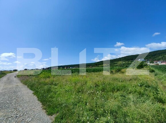 Teren de vânzare Micești - 145583TV | BLITZ Alba Iulia | Poza3