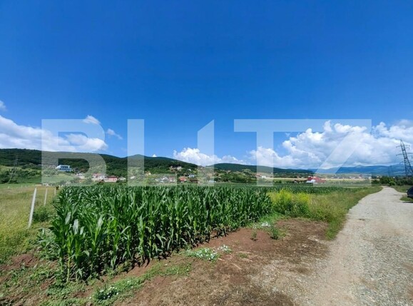 Teren de vânzare Micești - 145583TV | BLITZ Alba Iulia | Poza2