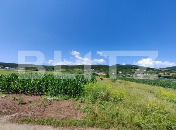 Teren de vânzare Micești - 145583TV | BLITZ Alba Iulia | Poza5