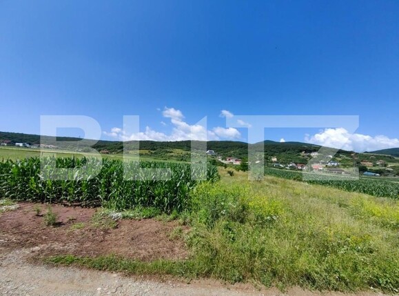 Teren de vânzare Micești - 145583TV | BLITZ Alba Iulia | Poza1