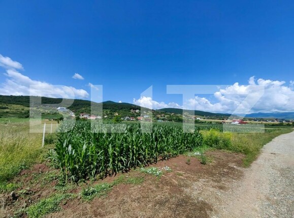 Teren de vânzare Micești - 145583TV | BLITZ Alba Iulia | Poza4