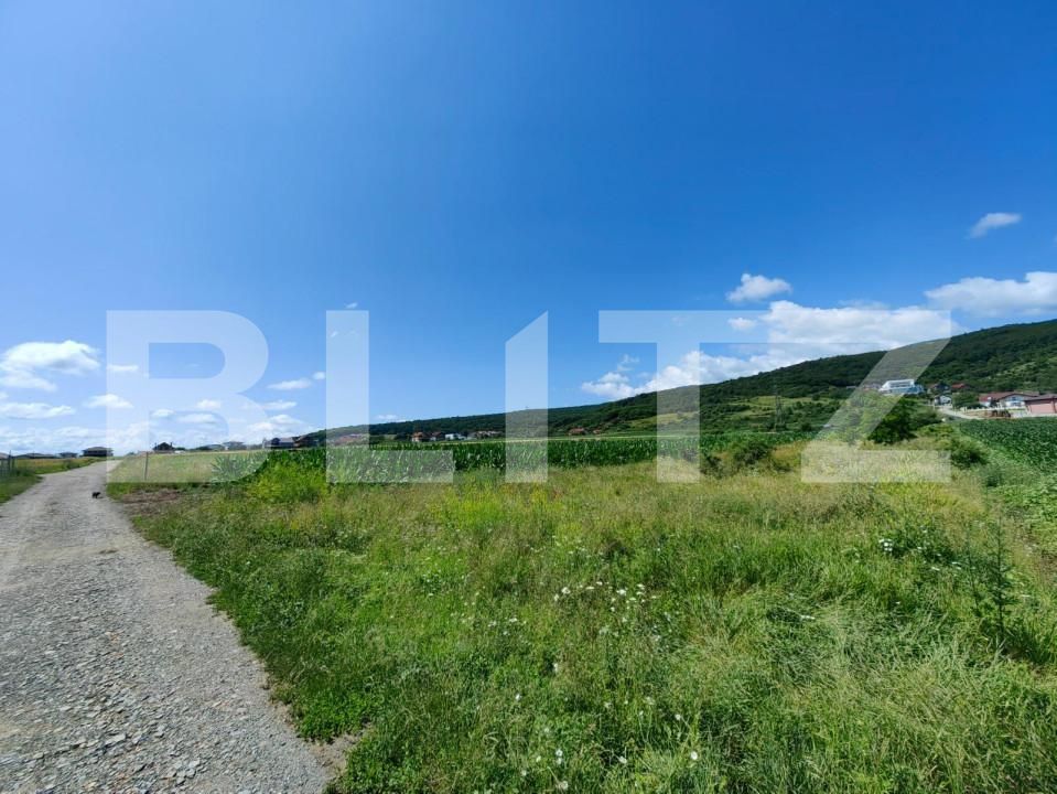 Teren de vânzare Micești - 145583TV | BLITZ Alba Iulia | Poza3