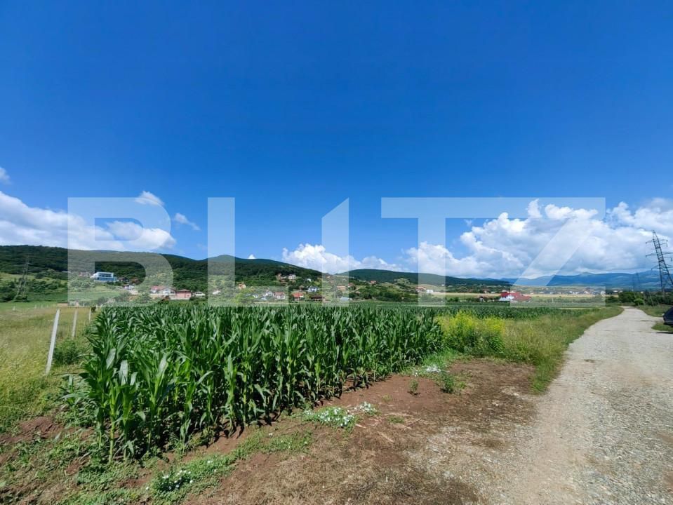 Teren de vânzare Micești - 145583TV | BLITZ Alba Iulia | Poza2