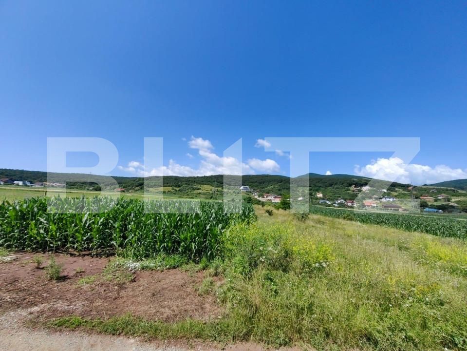 Teren de vânzare Micești - 145583TV | BLITZ Alba Iulia | Poza5