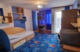 Casa individuala D+P+E cu 4 camere, 2 bucatarii, 3 bai, teren 1400 mp, Micesti