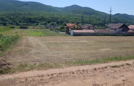 Teren intravilan 548 mp, cu utilitati, zona Ampoita 