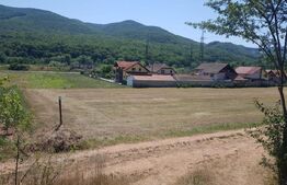 Teren intravilan 548 mp, cu utilitati, zona Ampoita 