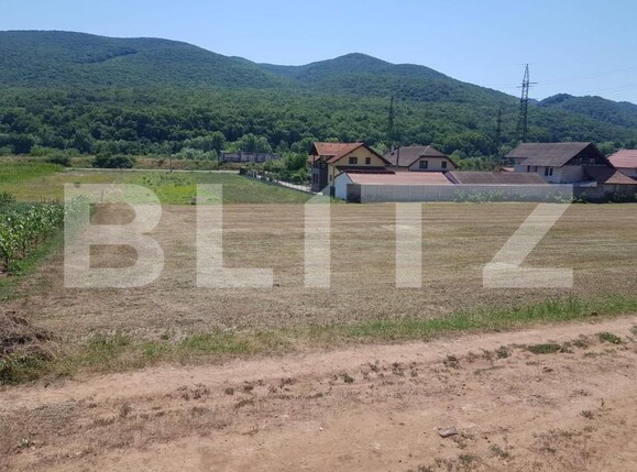 Teren de vânzare Exterior Vest - 145586TV | BLITZ Alba Iulia | Poza1