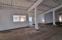 Hala industriala 1100 mp util, zona Oiejdea 