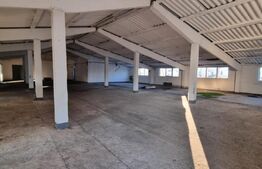 Hala industriala 1100 mp util, zona Oiejdea 