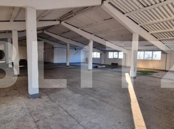 Spațiu industrial de vânzare Exterior Nord - 145589SVI | BLITZ Alba Iulia | Poza1