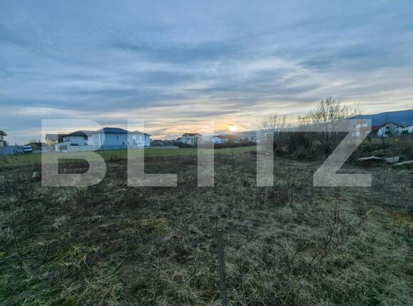 Teren de vânzare Cetate - 145593TV | BLITZ Alba Iulia | Poza2