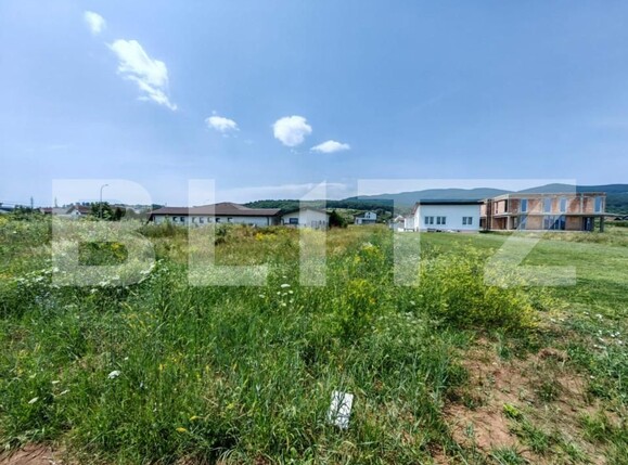 Teren de vânzare Cetate - 145599TV | BLITZ Alba Iulia | Poza1