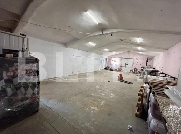 Spațiu industrial de închiriat Ampoi 3 - 145603SII | BLITZ Alba Iulia | Poza1