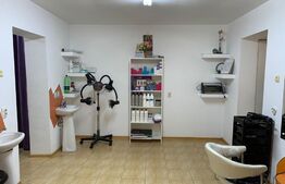 Spatiu comercial 46mp