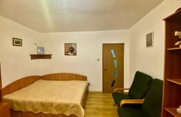 Garsoniera, 30 mp, zona Cetate