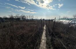 Casa individuala, 4 camere, 100mp, 435mp teren, Sebes