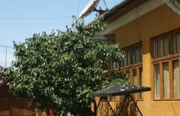 Casa individuala 5 camere, zona Sebes 