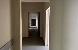 Spatiu comercial de inchiriat 330mp utili vad bun diverse destinatii