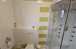 Casă individuală D+P, 6 camere, 260 mp, teren 921 mp, Sebeș – complet renovată