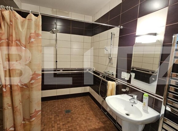 Casa de vânzare 6 camere Sebeș - 149014CV | BLITZ Alba Iulia | Poza9