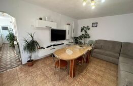 Casa individuala 85mp, 360mp teren in Vintu de Jos