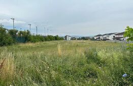 Teren intravilan, 7441mp, zona Lidl Cetate