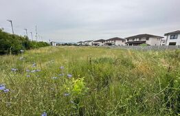 Teren intravilan, 7441mp, zona Lidl Cetate