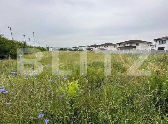 Teren de vânzare Cetate - 149302TV | BLITZ Alba Iulia | Poza2