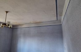 Casa P+2 cu 2 spatii comerciale la parter, in Sebes