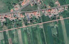 Teren extravilan,Vintu de Jos,10000mp