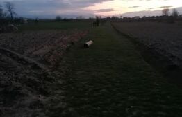 Teren intravilan 2900 mp cun toate utilitatiile la front in Vintu de Jos