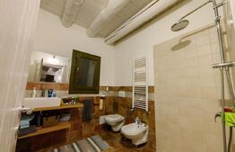 Casă individuală în stil mediteranean, 1100 mp teren, zona Ciugud