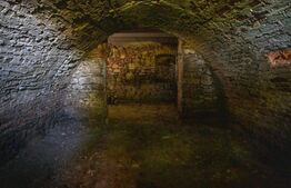 Casa noua, teren intravilan 11.770 mp, Vintu de Jos