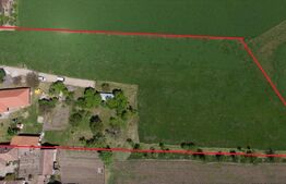 Casa noua, teren intravilan 11.770 mp, Vintu de Jos