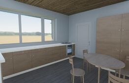 Casa noua, teren intravilan 11.770 mp, Vintu de Jos