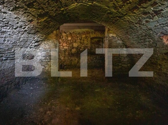 Casa de vânzare 3 camere Vinţu de Jos - 149393CV | BLITZ Alba Iulia | Poza4