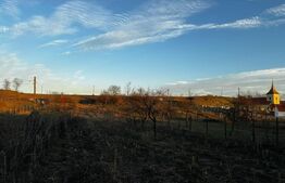 Casă cu teren 2357 mp, Vințu de Jos