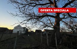 Casă cu teren 2357 mp, Vințu de Jos