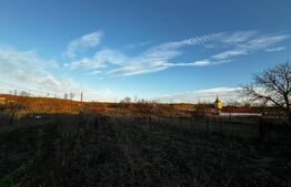 Casă cu teren 2357 mp, Vințu de Jos