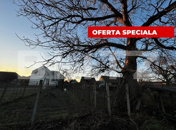 Casa de vânzare 3 camere Vinţu de Jos - 149692CV | BLITZ Alba Iulia | Poza5