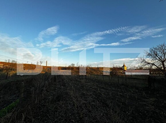 Casa de vânzare 3 camere Vinţu de Jos - 149692CV | BLITZ Alba Iulia | Poza6