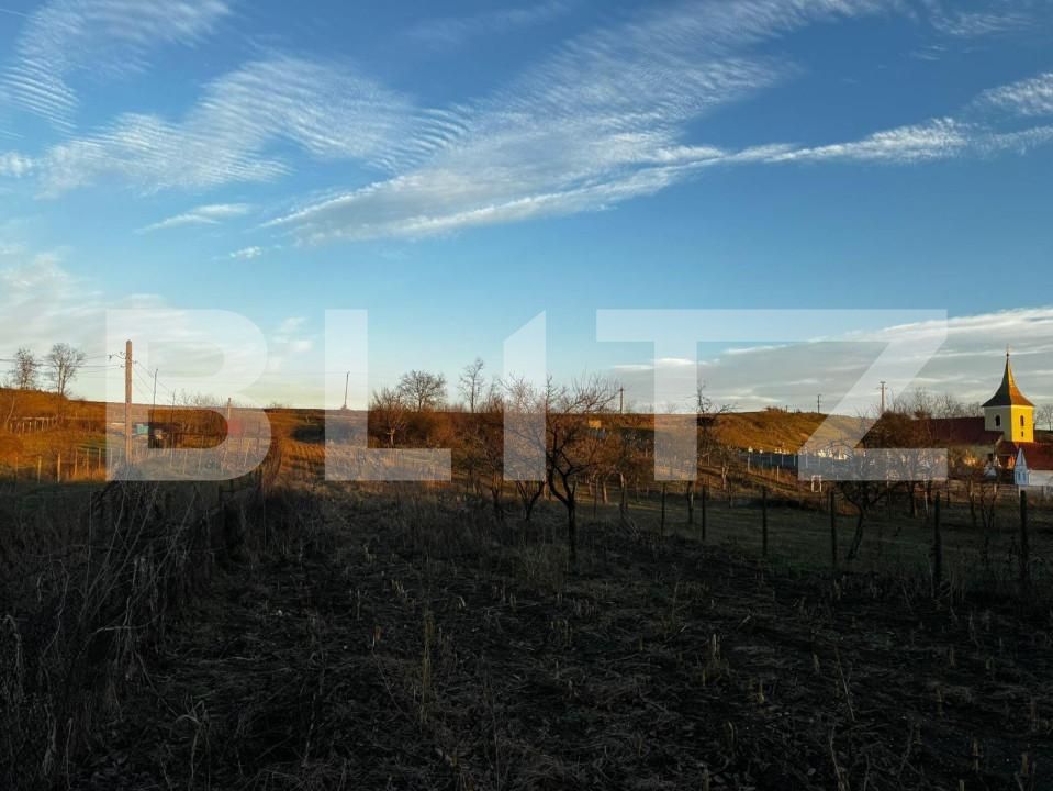 Casa de vânzare 3 camere Vinţu de Jos - 149692CV | BLITZ Alba Iulia | Poza7