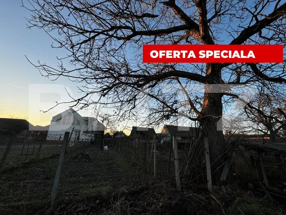 Casa de vânzare 3 camere Vinţu de Jos - 149692CV | BLITZ Alba Iulia | Poza5