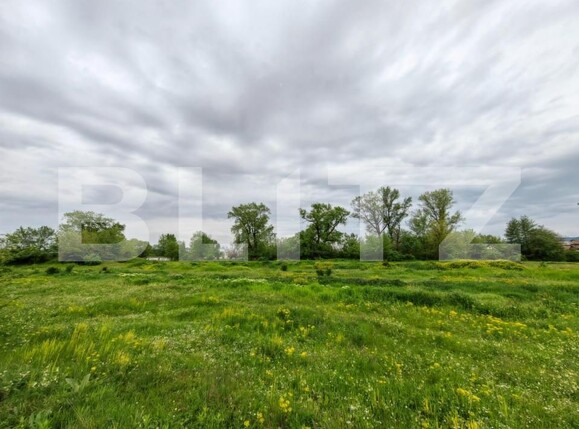 Teren de vânzare Sebeș - 149710TV | BLITZ Alba Iulia | Poza2