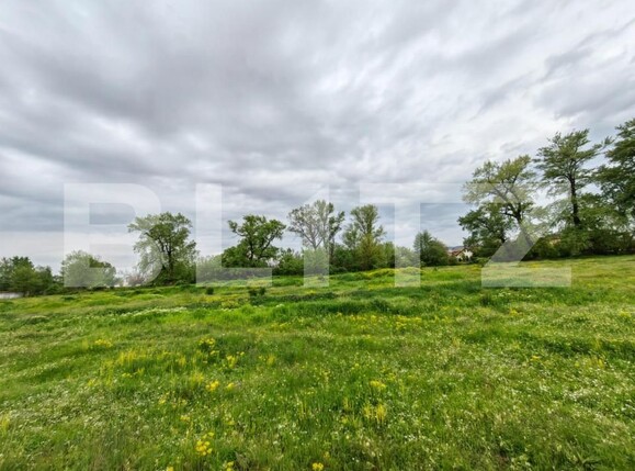 Teren de vânzare Sebeș - 149710TV | BLITZ Alba Iulia | Poza3