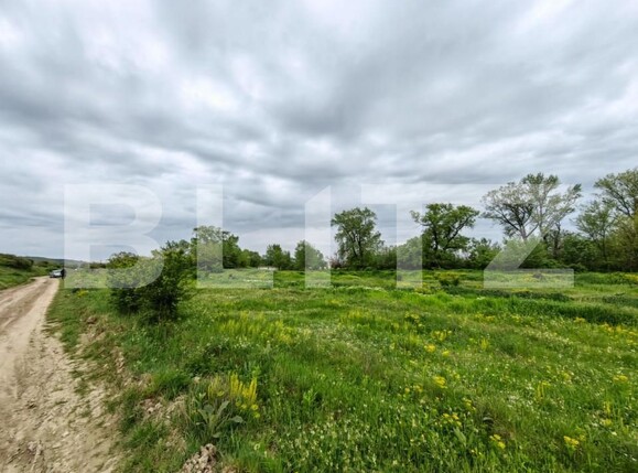 Teren de vânzare Sebeș - 149710TV | BLITZ Alba Iulia | Poza1