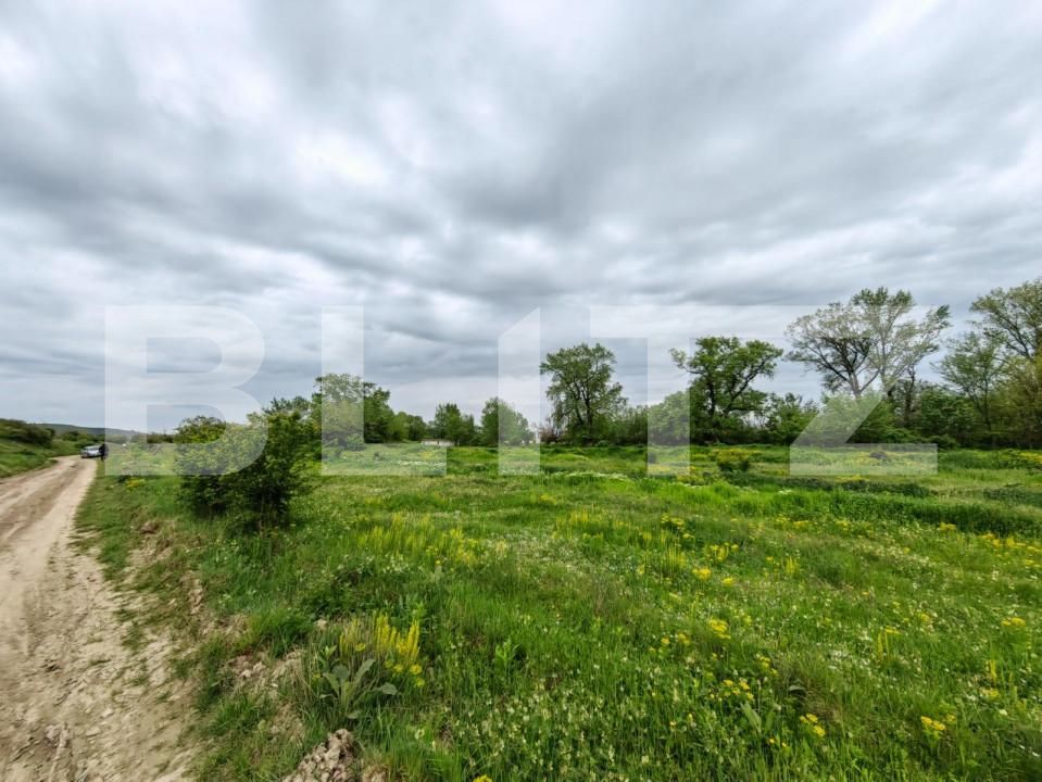 Teren de vânzare Sebeș - 149710TV | BLITZ Alba Iulia | Poza1